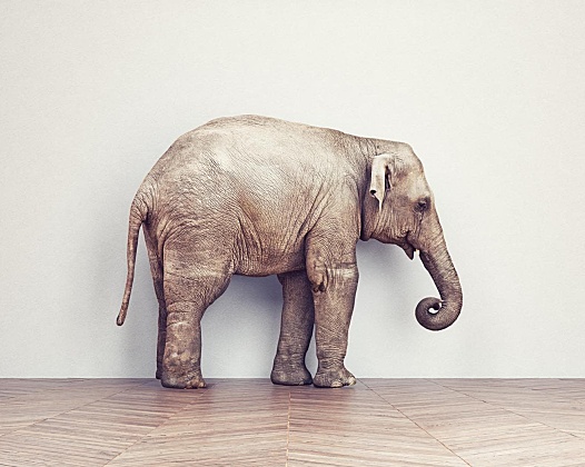 文章样式五：视频列表