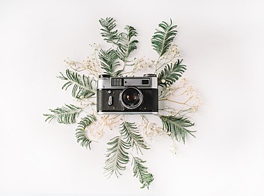 文章中插入卡片