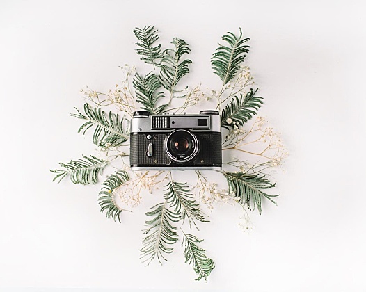 文章中插入卡片